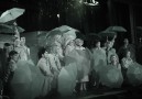 NCT-SITR-20